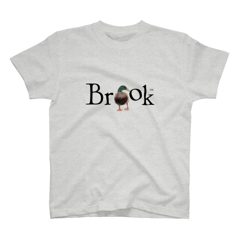 Ash(2024ss Duck Brook S/S Tee